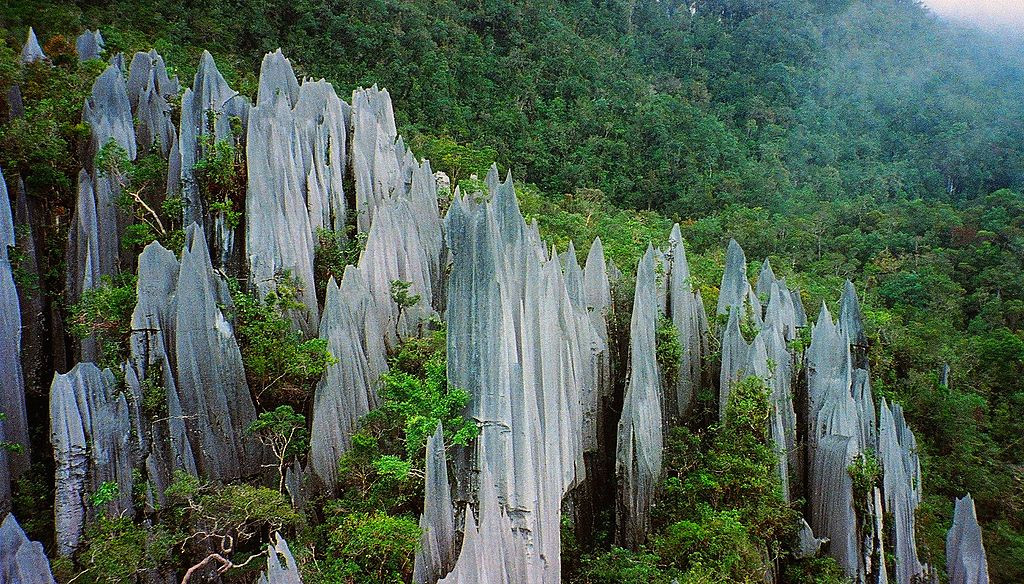 Vườn quốc gia Gunung Mulu - du lịch Malaysia